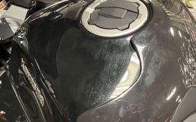 KAWASAKI NINJA 1000 SX 2024 ZXT02K