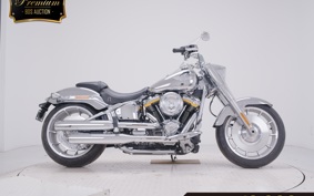 OTHER +HD. FLSTFI1920 2018