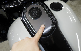 HARLEY FLTRXSE1920CVO 2020