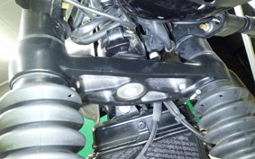 TRIUMPH SPEED TWIN 2019