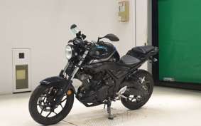 YAMAHA MT-25 2006 RG43J