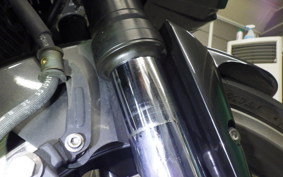 YAMAHA FZ1 FAZER 2016 RN21J