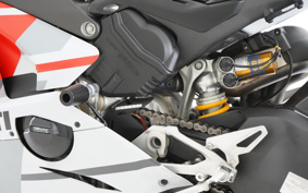 DUCATI PANIGA-REV4S CORSE 2019