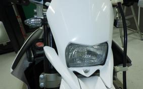 YAMAHA WR250X 2021 DG15J