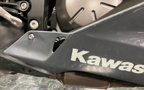 KAWASAKI NINJA ZX-6R 2020 ZX636G
