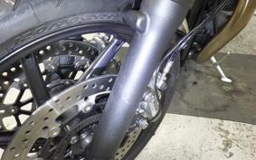 TRIUMPH SPEED TWIN 2020