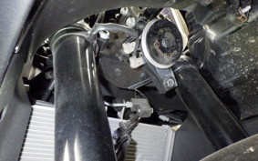 YAMAHA YZF-R25 A 1996 RG74J