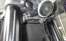 KAWASAKI Z900RS CAFE 2019 ZR900C