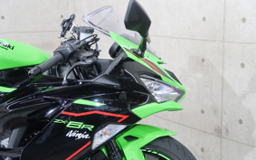 KAWASAKI NINJA ZX-6R 2021 ZX636G