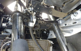 SUZUKI GSX250 R