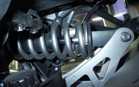 KAWASAKI NINJA 1000 SX 2024 ZXT02K