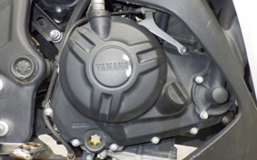 YAMAHA YZF-R25 2023 RG10J