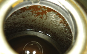 HONDA LITTLE CUB 2023 C50