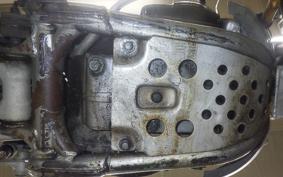 KAWASAKI KX250 F 2026 KX250N