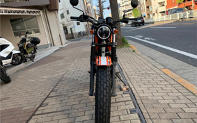 YAMAHA TW225E 20TH ANNIVER SPL ED DG09J