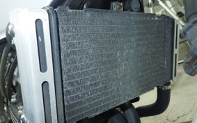 HONDA HORNET 250 2025 MC31