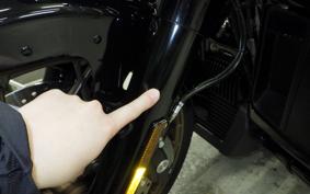 HARLEY FLHXST1920 2022