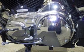 HARLEY XL1200XS 2019