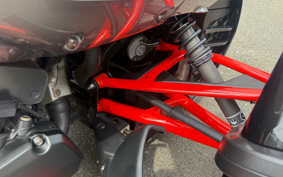OTHER KANNAMUSPYDER F3-S 2016 RDD