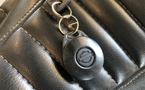 HARLEY HARLEY XL883 2005 CAM