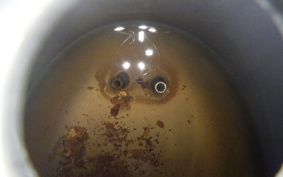 HONDA C50 SUPER CUB C50