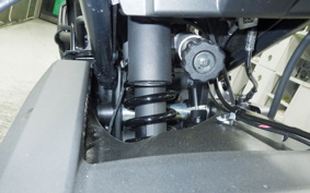 HARLEY ﾊﾟﾝ AMERICA1250ST 2025