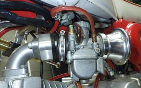 OTHER UNREGISTERED MODEL by BDS125 ER08