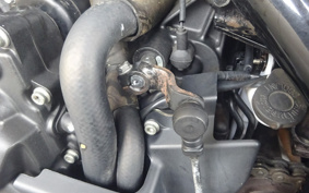 HONDA  REBEL 500 2019 PC60