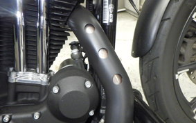 HARLEY XL883N 2019