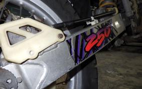 SUZUKI RMX250 S SJ13A