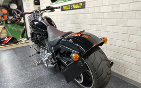 HARLEY FXSB 2014 BF5