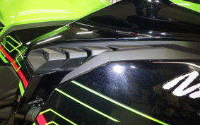 KAWASAKI ZX-4RR 2024 ZX400P