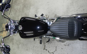 HARLEY FXST1750 2025