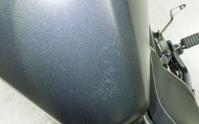 HONDA REBEL 250 S MC49