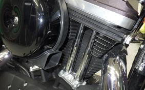 HARLEY XL1200X 2020