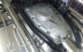 KAWASAKI W800 2022 EJ800E