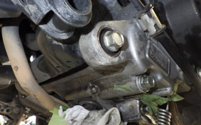 HONDA TACT-4ﾍﾞｰｼｯｸ AF79