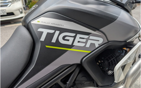 TRIUMPH TIGER 900 RALLY PRO 2024 TRE67D