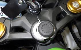 KAWASAKI ZX-4RR 2025 ZX400P