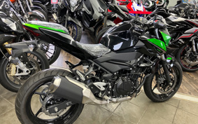 KAWASAKI Z250 EX250Y