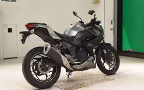 KAWASAKI Z250 A 2021 ER250C