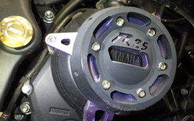 YAMAHA YZF-R25 A RG10J