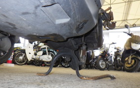 HONDA DIO Gen.5 AF56