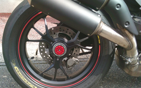 DUCATI 1299PANIGA-RES 2015 ZDMH905JAFB