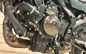 YAMAHA XSR900 2024 RN80J
