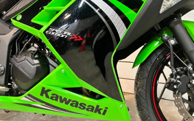 KAWASAKI NINJA 250 ABS SE EX250L