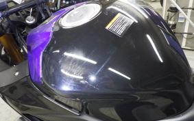 YAMAHA YZF-R25 2024 RG43J