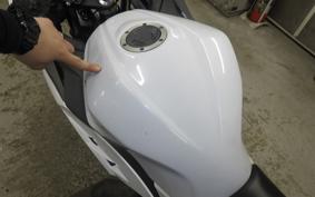 KAWASAKI NINJA 250 EX250L