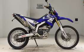 YAMAHA WR250R 2021 DG15J