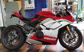 DUCATI PANIGA-REV4 SPECIALE 2018 DA00J